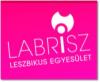 labrisz_logo.jpg