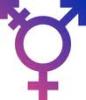 transsexual logo.jpg