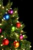 xmastree2.jpg